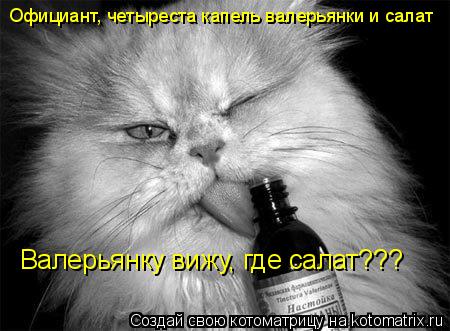 Официант, четыреста капель валерьянки и салат Валерьянку вижу, где салат???... Котоматрица: Официант, четыреста капель валерьянки и салат Валерьянку вижу, где салат???