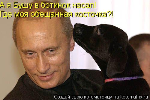 А я Бушу в ботинок насал! Где моя обещанная косточка?!... Котоматрица: А я Бушу в ботинок насал! Где моя обещанная косточка?!