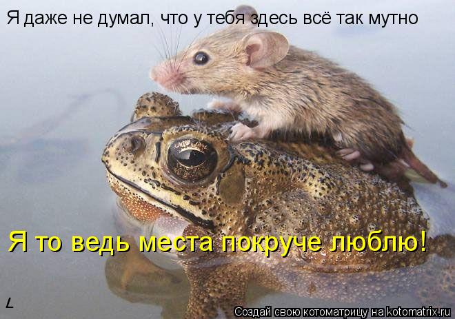 Я даже не думал, что у тебя здесь всё так мутно Я то ведь места покруче люблю!... Котоматрица: Я даже не думал, что у тебя здесь всё так мутно Я то ведь места покруче люблю!