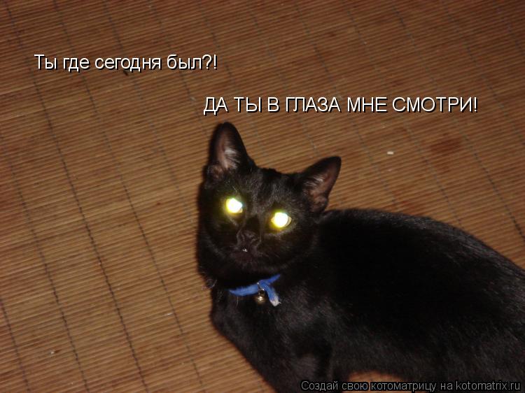 Ты где сегодня был?! ДА ТЫ В ГЛАЗА МНЕ СМОТРИ!... Котоматрица: Ты где сегодня был?! ДА ТЫ В ГЛАЗА МНЕ СМОТРИ!