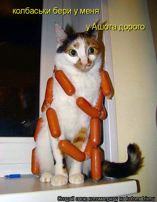 колбаськи бери у меня у Ашота дорого... Котоматрица: колбаськи бери у меня у Ашота дорого