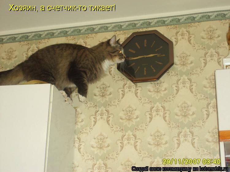 Хозяин, а счетчик-то тикает!... Котоматрица: Хозяин, а счетчик-то тикает!