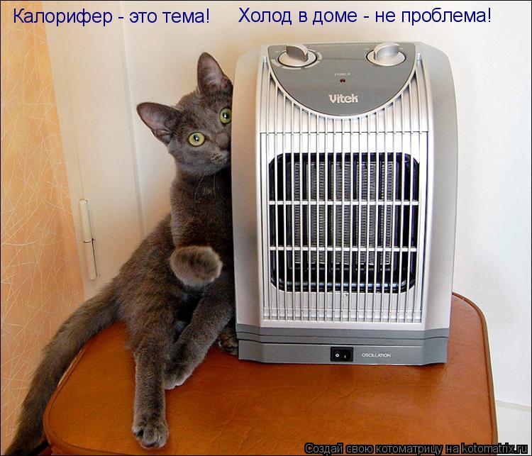 Калорифер - это тема! Холод в доме - не проблема!... Котоматрица: Калорифер - это тема! Холод в доме - не проблема!