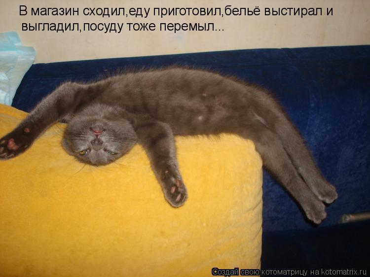 В магазин сходил,еду приготовил,бельё выстирал и выгладил,посуду тоже перемыл...... Котоматрица: В магазин сходил,еду приготовил,бельё выстирал и выгладил,посуду тоже перемыл...