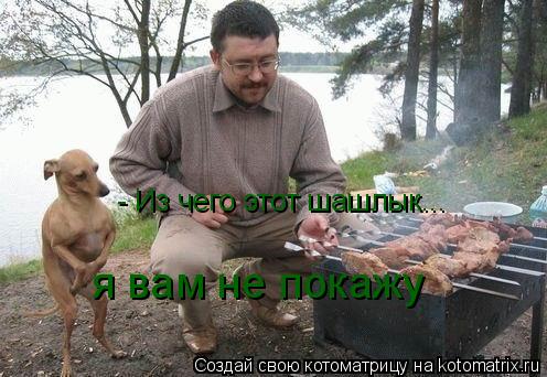 - Из чего этот шашлык... я вам не покажу... Котоматрица: - Из чего этот шашлык... я вам не покажу
