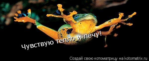 Чувствую тепло и лечу! Чувствую тепло и лечу!... Котоматрица: Чувствую тепло и лечу! Чувствую тепло и лечу!