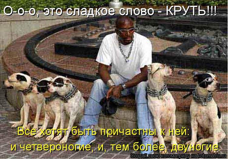 О-о-о, это сладкое слово - КРУТЬ!!! Все хотят быть причастны к ней: и четвероногие, и, тем более, дву... Котоматрица: О-о-о, это сладкое слово - КРУТЬ!!! Все хотят быть причастны к ней: и четвероногие, и, тем более, двуногие.