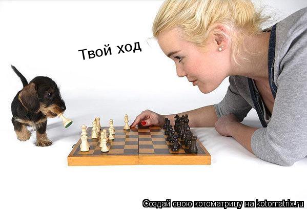 Твой ход... Котоматрица: Твой ход