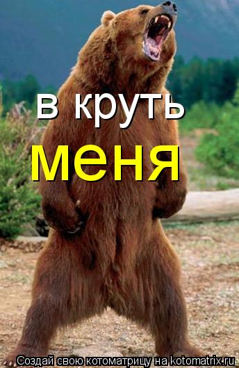 в круть меня... Котоматрица: в круть меня