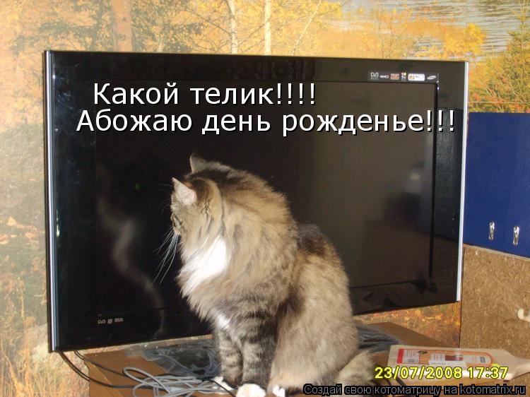 Какой телик!!!! Абожаю день рожденье!!!... Котоматрица: Какой телик!!!! Абожаю день рожденье!!!