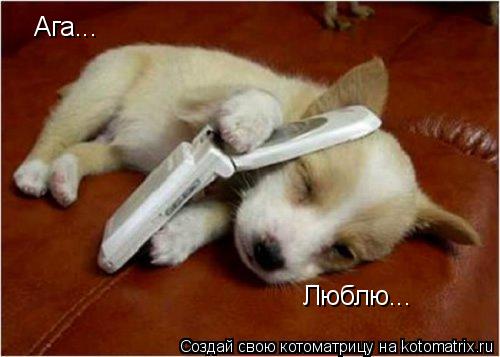 Ага... Люблю...... Котоматрица: Ага... Люблю...
