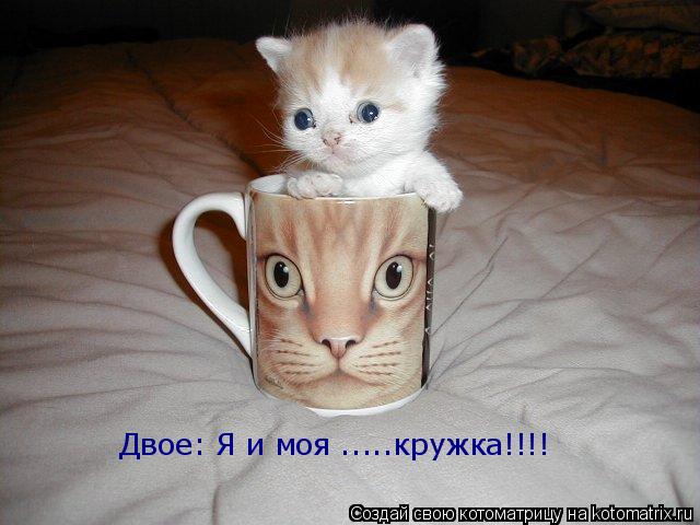 Двое: Я и моя .....кружка!!!!... Котоматрица: Двое: Я и моя .....кружка!!!!