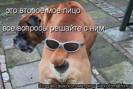 это второе мое лицо все вопросы решайте с ним... Котоматрица: это второе мое лицо все вопросы решайте с ним