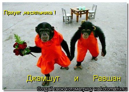 Джамшут и Равшан Приует ,насяльника !... Котоматрица: Джамшут и Равшан Приует ,насяльника !