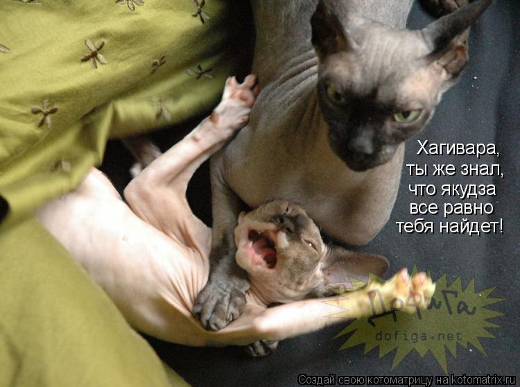 Хагивара, ты же знал, что якудза все равно тебя найдет!... Котоматрица: Хагивара, ты же знал, что якудза все равно тебя найдет!