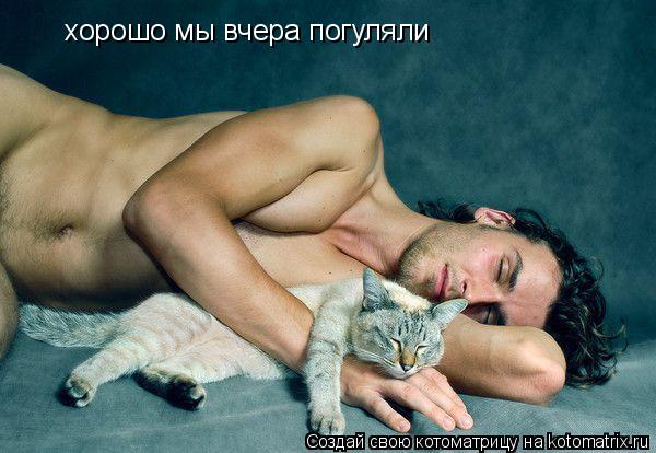 хорошо мы вчера погуляли... Котоматрица: хорошо мы вчера погуляли