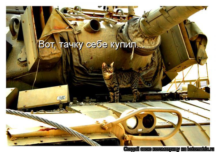 Вот, тачку себе купил...... Котоматрица: Вот, тачку себе купил...