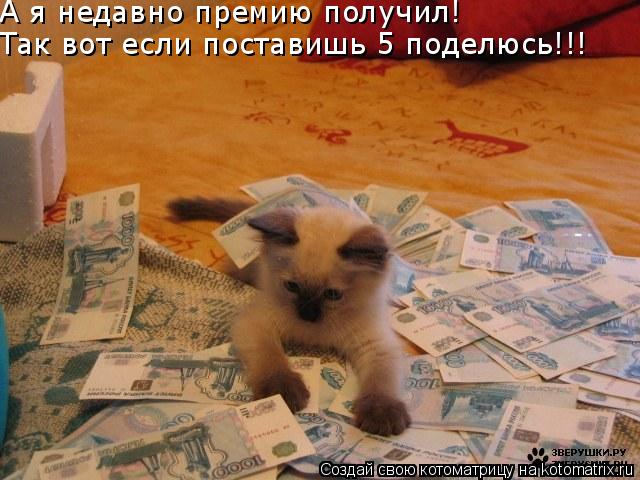 А я недавно премию получил! Так вот если поставишь 5 поделюсь!!!... Котоматрица: А я недавно премию получил! Так вот если поставишь 5 поделюсь!!!