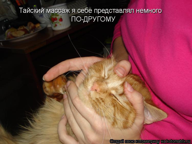 Тайский массаж я себе представлял немного ПО-ДРУГОМУ... Котоматрица: Тайский массаж я себе представлял немного ПО-ДРУГОМУ