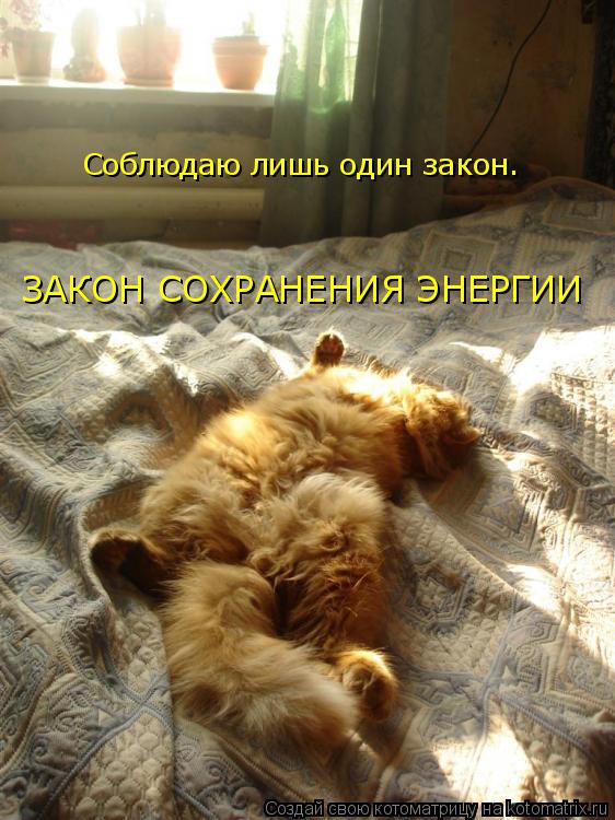 Соблюдаю лишь один закон. ЗАКОН СОХРАНЕНИЯ ЭНЕРГИИ... Котоматрица: Соблюдаю лишь один закон. ЗАКОН СОХРАНЕНИЯ ЭНЕРГИИ