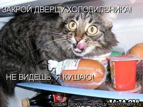 ЗАКРОЙ ДВЕРЦУ ХОЛОДИЛЬНИКА! НЕ ВИДЕШЬ, Я КУШАЮ!... Котоматрица: ЗАКРОЙ ДВЕРЦУ ХОЛОДИЛЬНИКА! НЕ ВИДЕШЬ, Я КУШАЮ!
