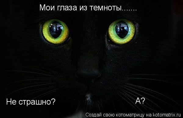Мои глаза из темноты....... Не страшно? А?... Котоматрица: Мои глаза из темноты....... Не страшно? А?