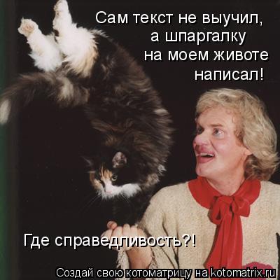 а шпаргалку на моем животе Сам текст не выучил, написал! Где справедливость?!... Котоматрица: а шпаргалку на моем животе Сам текст не выучил, написал! Где справедливость?!