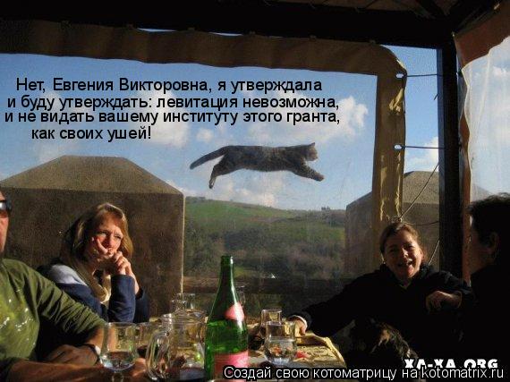 Нет, Евгения Викторовна, я утверждала и буду утверждать: левитация невозможна, и не видать вашему инс... Котоматрица: Нет, Евгения Викторовна, я утверждала и буду утверждать: левитация невозможна, и не видать вашему институту этого гранта, как своих ушей!