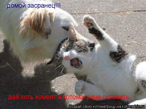 домой засранец!!! дай хоть комент в котоматрице оставить...... Котоматрица: домой засранец!!! дай хоть комент в котоматрице оставить...