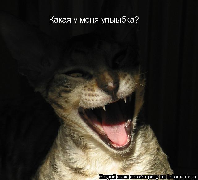 Какая у меня улыыбка?... Котоматрица: Какая у меня улыыбка?