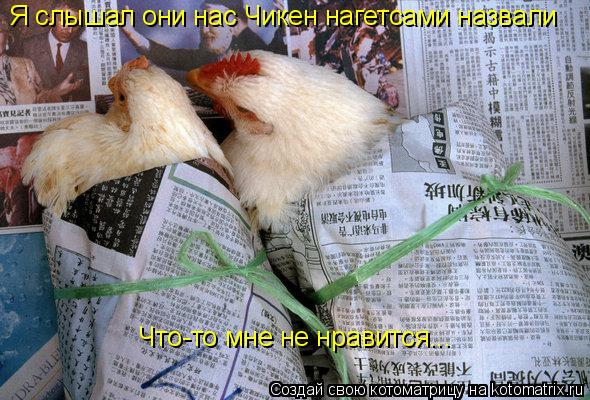 Я слышал они нас Чикен нагетсами назвали Что-то мне не нравится...... Котоматрица: Я слышал они нас Чикен нагетсами назвали Что-то мне не нравится...