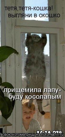 тетя,тетя-кошка! выгляни в окошко буду косолапым прищемила лапу-... Котоматрица: тетя,тетя-кошка! выгляни в окошко буду косолапым прищемила лапу-