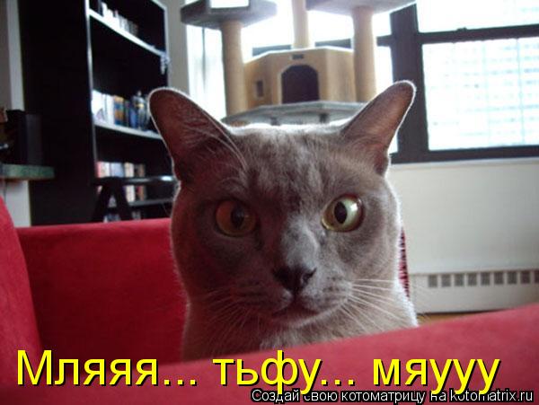 Мляяя... тьфу... мяууу... Котоматрица: Мляяя... тьфу... мяууу
