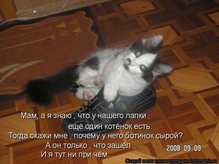 Мам, а я знаю , что у нашего папки , ещё один котёнок есть. Тогда скажи мне , почему у него ботинок ... Котоматрица: Мам, а я знаю , что у нашего папки , ещё один котёнок есть. Тогда скажи мне , почему у него ботинок сырой? А он только , что зашёл И я тут ни при ч