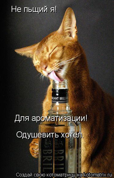 Не пьщий я! Для ароматизации! Одушевить хотел.... Котоматрица: Не пьщий я! Для ароматизации! Одушевить хотел.