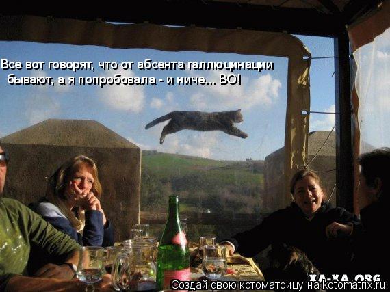 Все вот говорят, что от абсента галлюцинации бывают, а я попробовала - и ниче... ВО!... Котоматрица: Все вот говорят, что от абсента галлюцинации бывают, а я попробовала - и ниче... ВО!