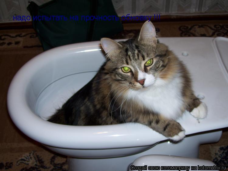 надо испытать на прочность обновку !!!... Котоматрица: надо испытать на прочность обновку !!!