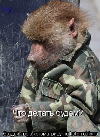 Ну... Что делать будем?... Котоматрица: Ну... Что делать будем?