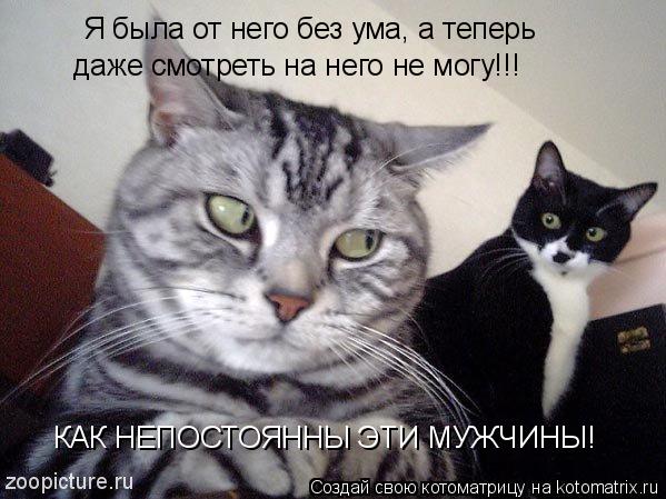 Я была от него без ума, а теперь даже смотреть на него не могу!!! КАК НЕПОСТОЯННЫ ЭТИ МУЖЧИНЫ!... Котоматрица: Я была от него без ума, а теперь даже смотреть на него не могу!!! КАК НЕПОСТОЯННЫ ЭТИ МУЖЧИНЫ!
