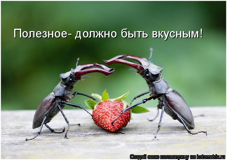 Полезное- должно быть вкусным!... Котоматрица: Полезное- должно быть вкусным!