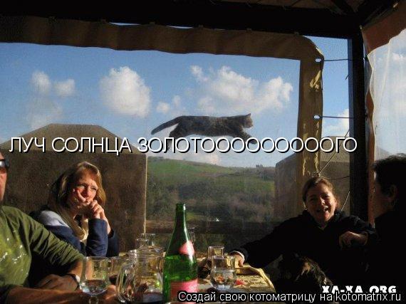 ЛУЧ СОЛНЦА ЗОЛОТОООООООООГО... Котоматрица: ЛУЧ СОЛНЦА ЗОЛОТОООООООООГО