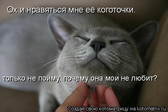 Ох и нравяться мне её коготочки. только не пойму, почему она мои не любит?... Котоматрица: Ох и нравяться мне её коготочки. только не пойму, почему она мои не любит?