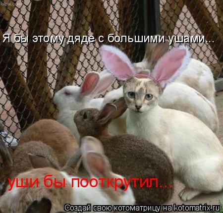 Я бы этому дяде с большими ушами... уши бы пооткрутил...... Котоматрица: Я бы этому дяде с большими ушами... уши бы пооткрутил...