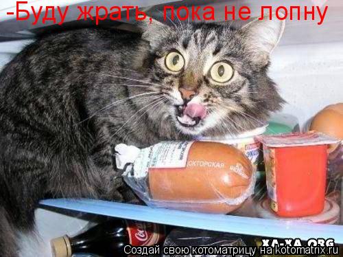 -Буду жрать, пока не лопну... Котоматрица: -Буду жрать, пока не лопну