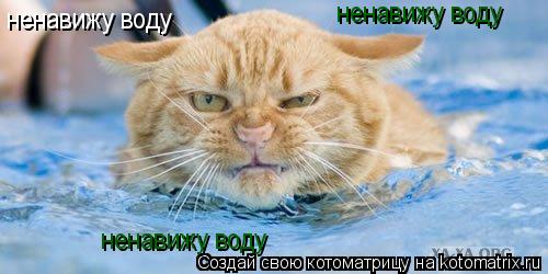 ненавижу воду ненавижу воду ненавижу воду... Котоматрица: ненавижу воду ненавижу воду ненавижу воду