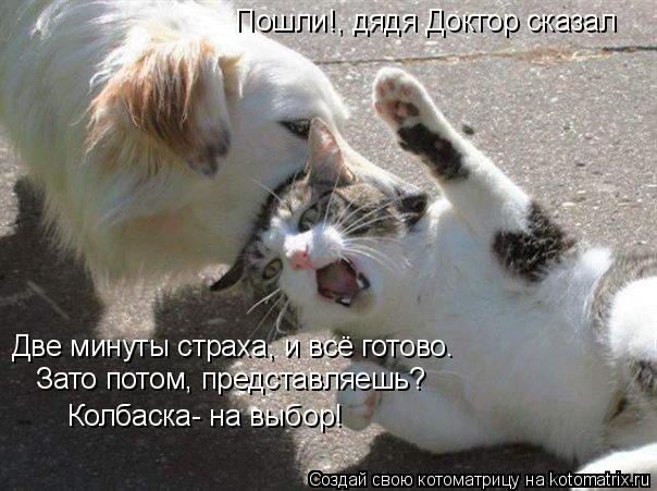 Две минуты страха, и всё готово. Зато потом, представляешь? Колбаска- на выбор! Пошли!, дядя Доктор ... Котоматрица: Две минуты страха, и всё готово. Зато потом, представляешь? Колбаска- на выбор! Пошли!, дядя Доктор сказал