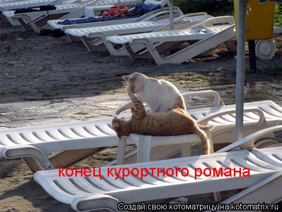 конец курортного романа... Котоматрица: конец курортного романа