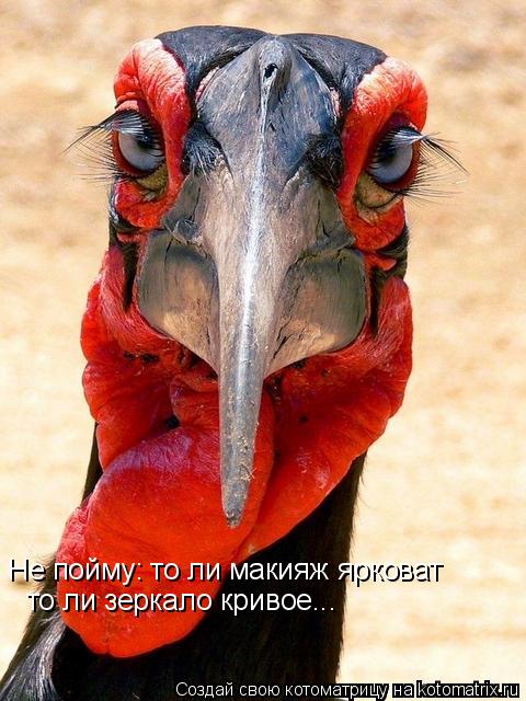 Не пойму: то ли макияж ярковат то ли зеркало кривое...... Котоматрица: Не пойму: то ли макияж ярковат то ли зеркало кривое...