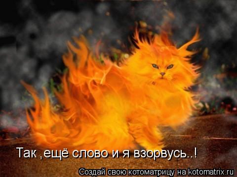 Так ,ещё слово и я взорвусь..!... Котоматрица: Так ,ещё слово и я взорвусь..!