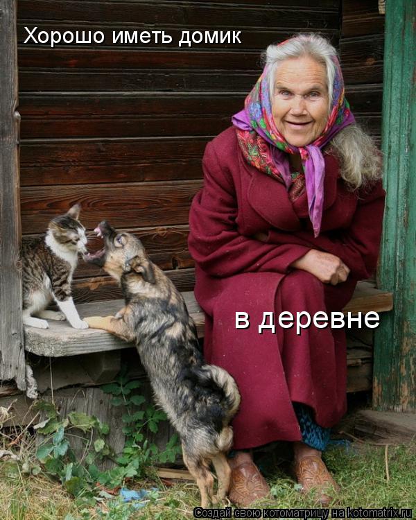 Хорошо иметь домик в деревне... Котоматрица: Хорошо иметь домик в деревне
